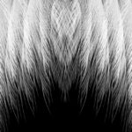 hoe kom je in contact met je gids?