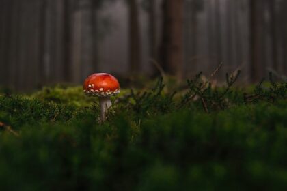 goed of slecht voor je