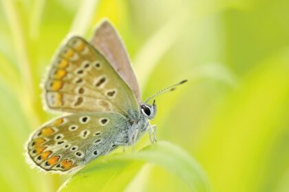 spirituele transformatie