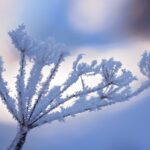 jezelf opladen: een winterslaap houden