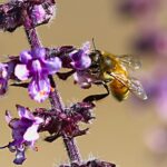 eerlijk zijn tegen jezelf