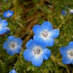 je hebt zoveel te geven