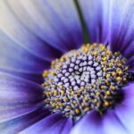 jouw talenten zijn mooi