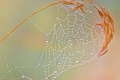 onzekerheid en luisteren naar je gevoel