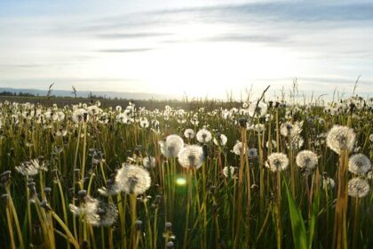 vrijheid komt vanuit jezelf