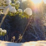 Je mag God om hulp vragen