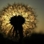 Waar word je echt gelukkig van