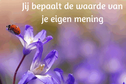 jij bepaald de waarde van jouw mening