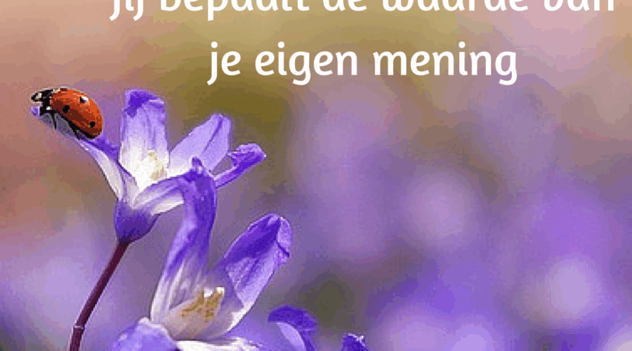 jij bepaald de waarde van jouw mening