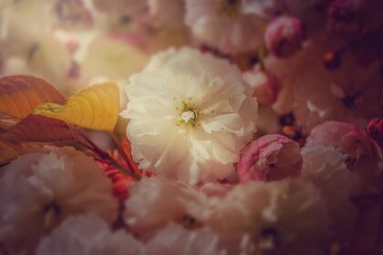 De symbolische betekenis van hoofdpijn