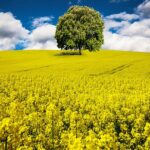 Mijn ontwikkeling in de spirituele wereld