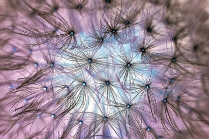 Wat je als hsp'er tegen jezelf moet zeggen