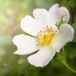 Welke voeding heb jij nodig