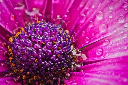 Waarom zit ik niet lekker in mijn vel?