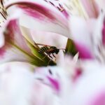 Hoogsensitief zijn en mensen doorgronden