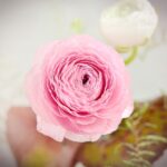 persoonlijke veranderingen