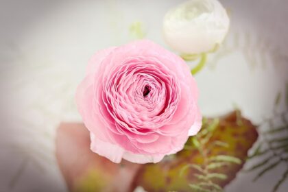 persoonlijke veranderingen