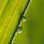 waarom mogen mensen mij niet