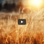 heerlijke meditatiemuziek voor in de morgen