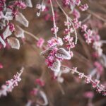 hsp in het onderwijs