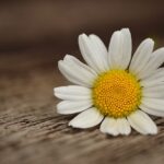 meer zelfvertrouwen krijgen