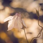 Een blok op je maag voelen