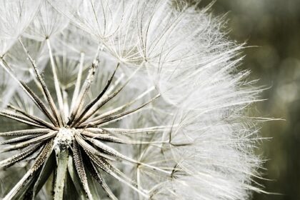 Hoe kun je jezelf veranderen?