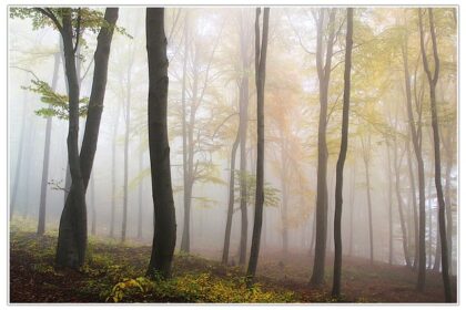 energetische ontlading