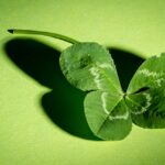 gelukkig zijn of gerustgesteld zijn