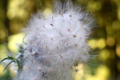 Is de mening van een ander belangrijker dan jouw gevoel