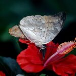 blijf jezelf altijd ontwikkelen