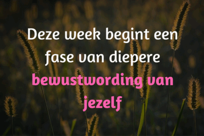 geconfronteerd worden met jezelf