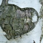 hooggevoeligheid en jaloezie