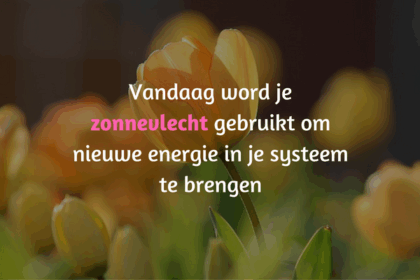 integratie van de zonnevlecht