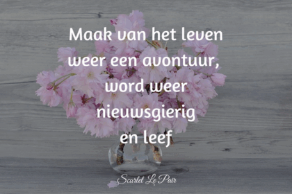 omgaan met prikkels