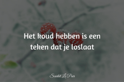 loslaten