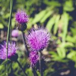 trots zijn op jezelf