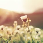 Hulp van de engelen ontvangen