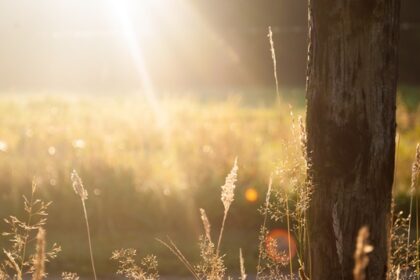 energetische verbindingen verbreken