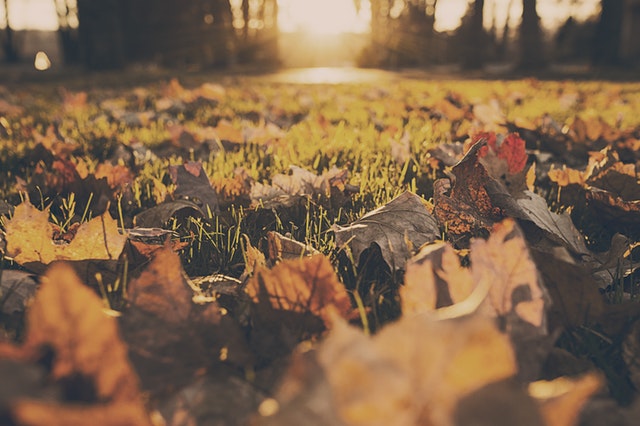 De 3 dingen die je deze herfst los mag gaan laten