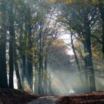 Gekke en persoonlijke dingen over mij die de meeste van jullie niet weten