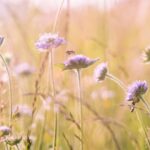 Natuurlijk is het nooit leuk als er iemand kritiek op je heeft, maar ergens vind ik het toch fijn om te horen wat iemand niet fijn aan mij vindt. Waarom ik graag weet wat er niet goed aan mij is (volgens een ander), zal ik je uitleggen.