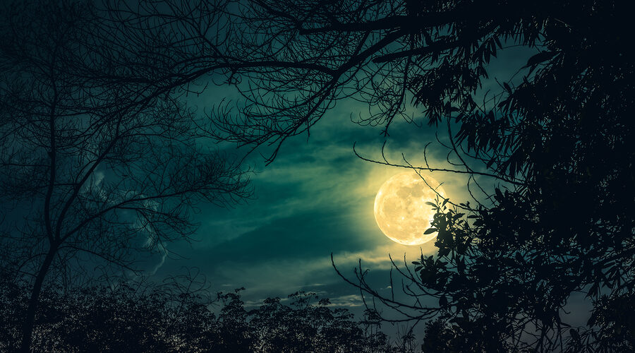 volle maan van 31 maart 2018