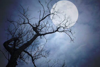 volle maan van oktober 2018