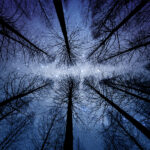 De nieuwe maan van maart 2019: vluchten voor je emoties