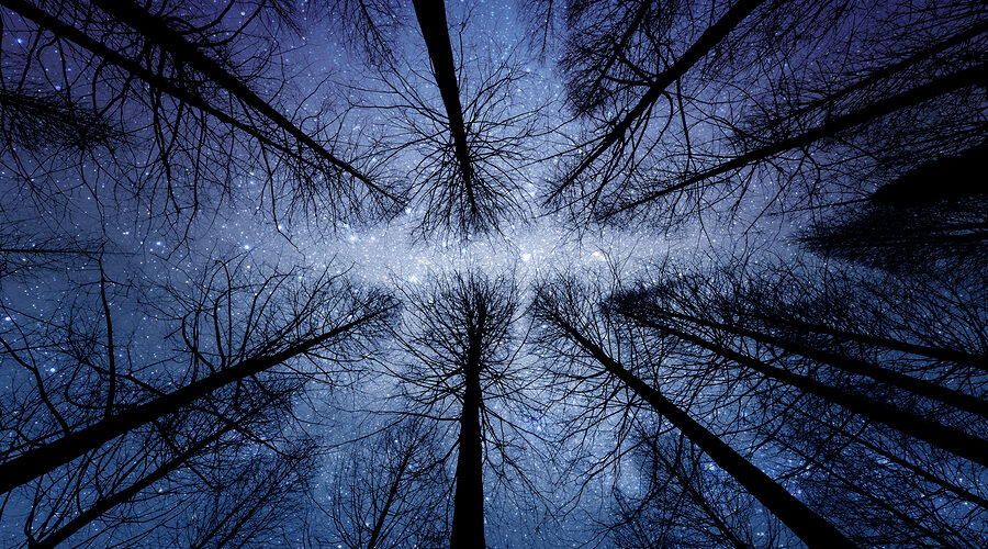 De nieuwe maan van maart 2019: vluchten voor je emoties