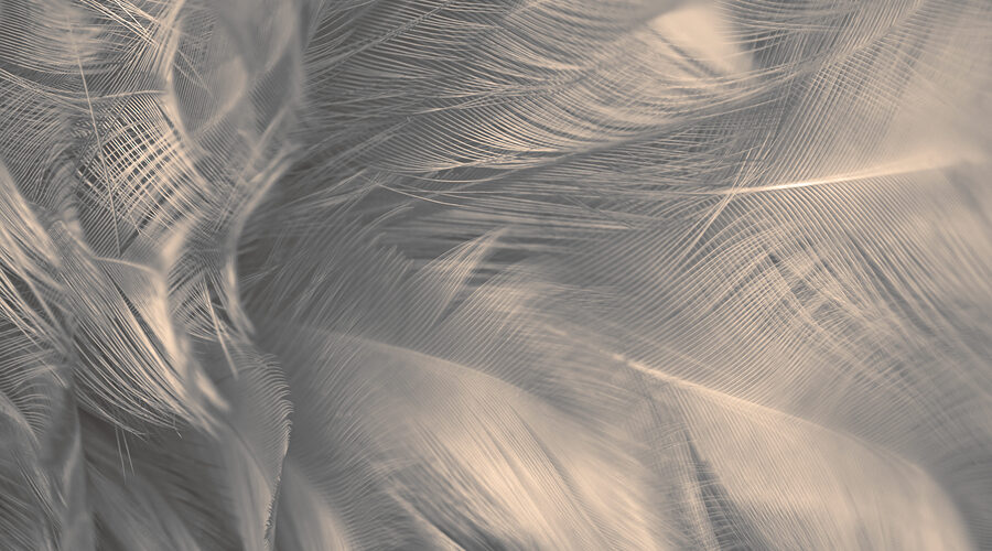 duidelijke signalen van het universum ontvangen