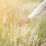 De meningen van anderen loslaten