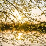 meditatie om tot rust te komen