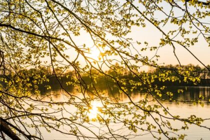 meditatie om tot rust te komen
